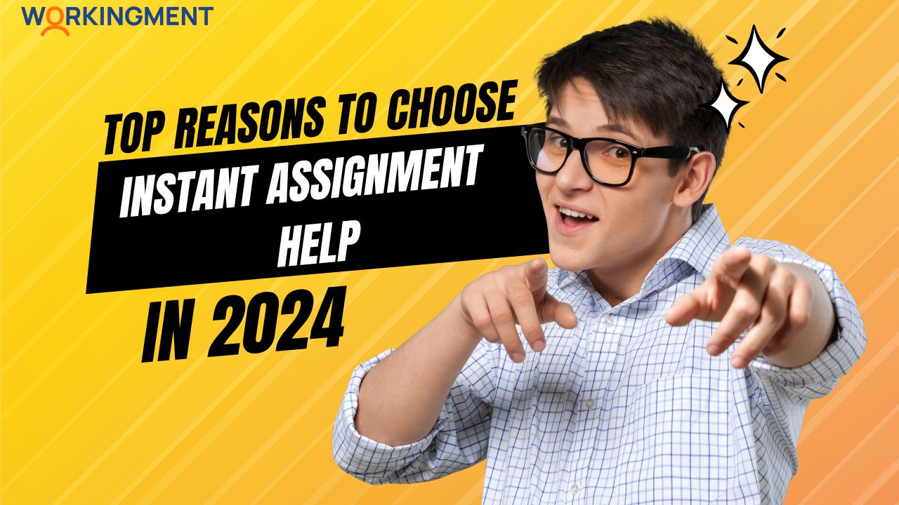 Reasons to Choose Instant Assignment Help